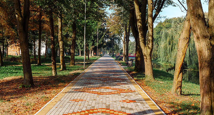 interlock & paving 2